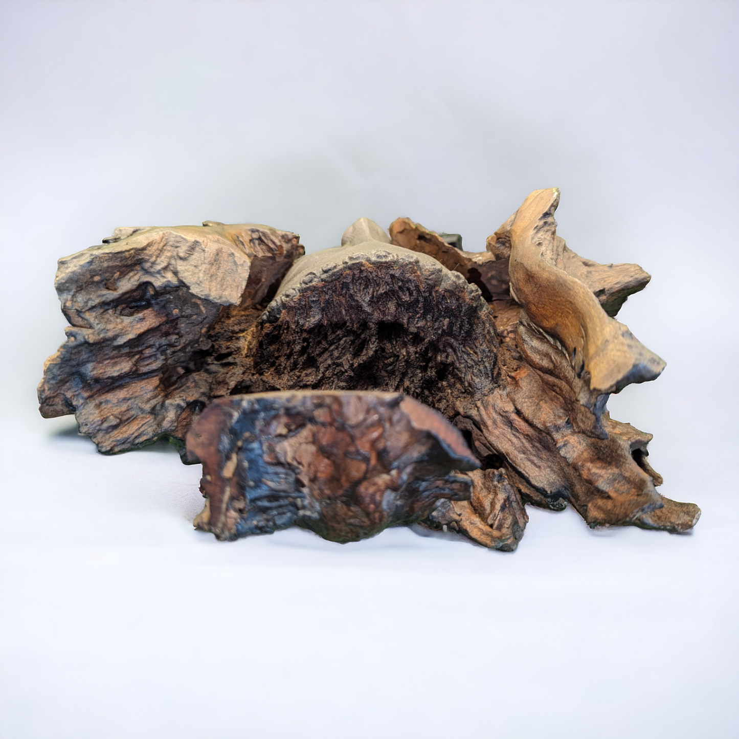 Vintage Bronze Buddha Mask Sculpture set in Tree Root - Wat Mahathat Inspired