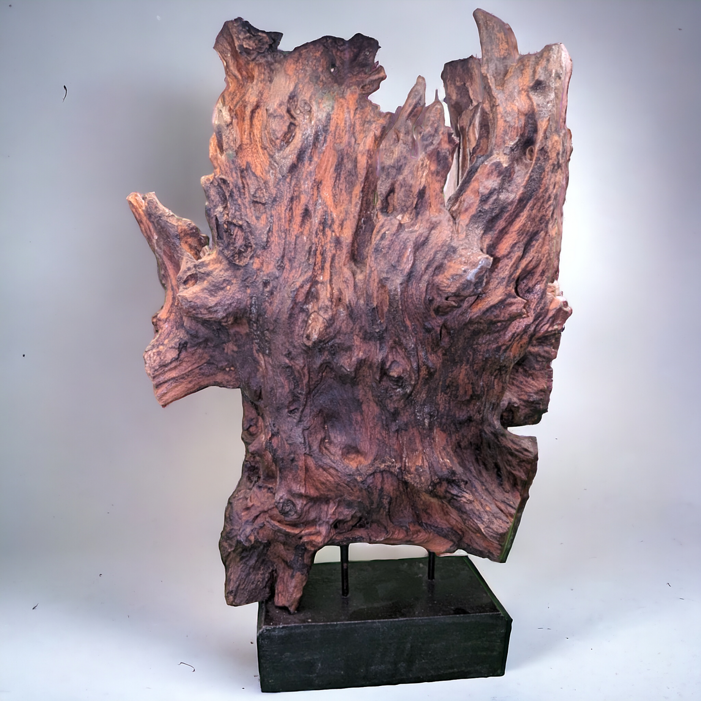 Vintage Bronze Buddha Mask Sculpture set in Tree Root - Wat Mahathat Inspired